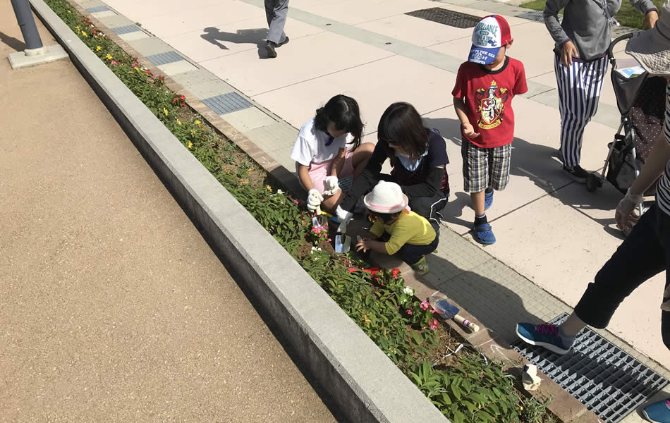 住民で管理する植栽帯の植え替えイベント