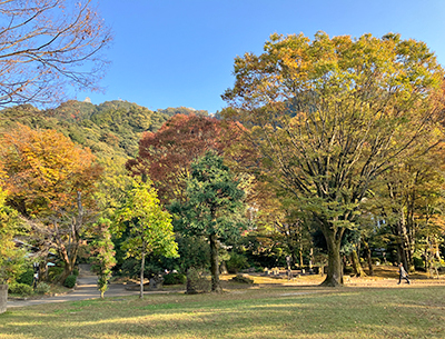 岐阜公園