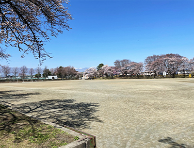 中央スポーツ公園