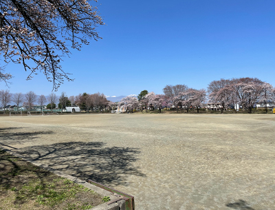 中央スポーツ公園