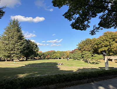 若里公園