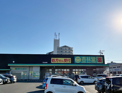 杏林堂薬局有玉南町店