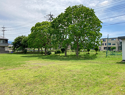 東町運動公園