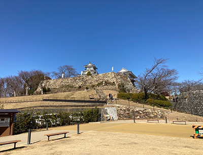 浜松城公園