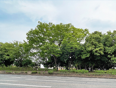 県立都市公園・水島緑地