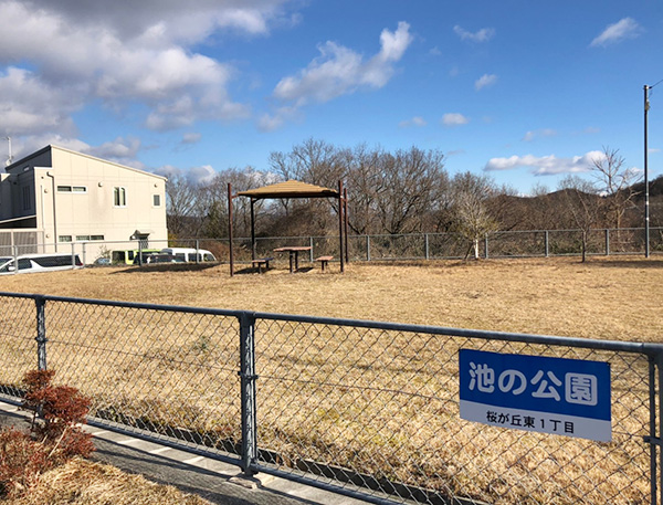 池の公園