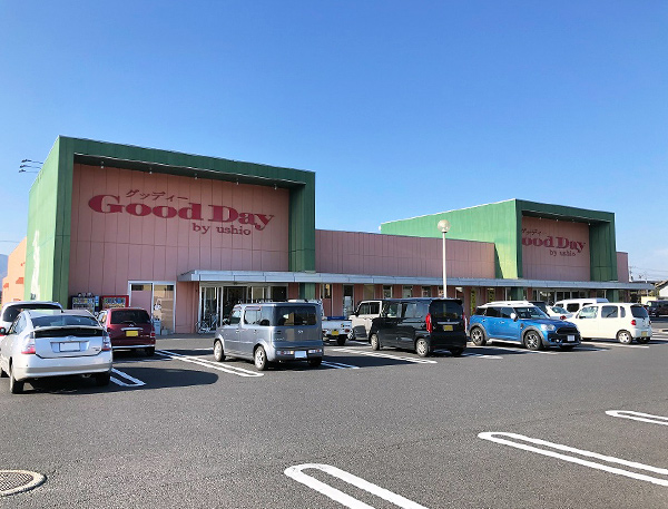 グッディー斐川店