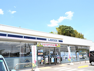 ローソン　我孫子新田店