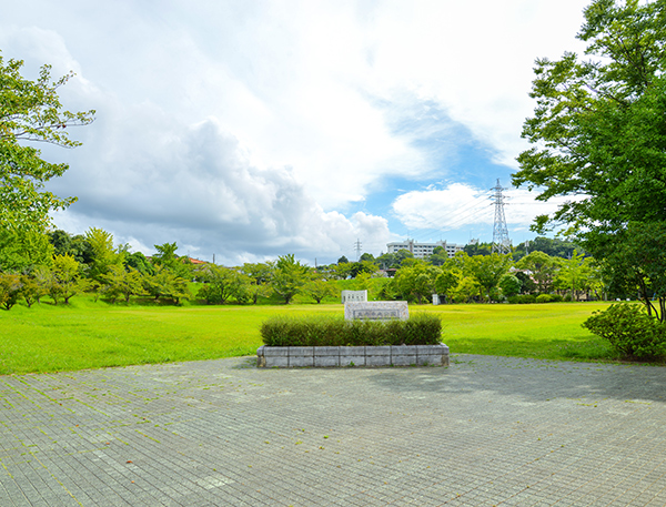 真舟中央公園