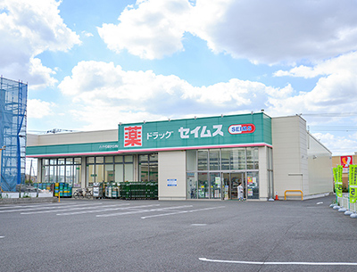 ドラッグセイムス 八千代緑が丘西店