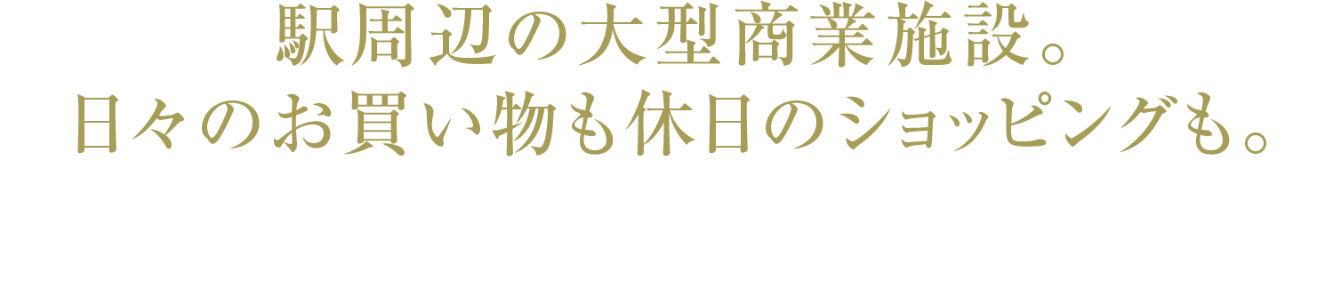 駅周辺の大型商業施設。日々のお買い物も休日のショッピングも。｜牧の原モア・BIG HOPガーデンモール印西・ジョイフル本田