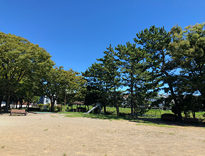 藤が谷公園