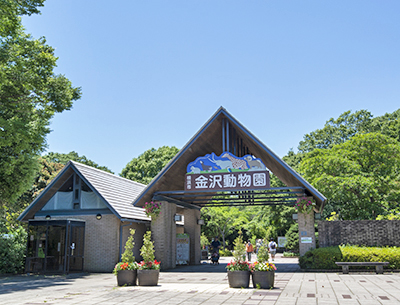 金沢動物園