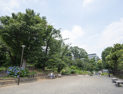 天王山公園