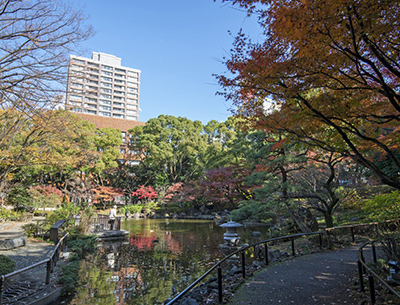 横浜公園