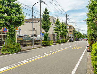 丸山台いちょう坂商店街