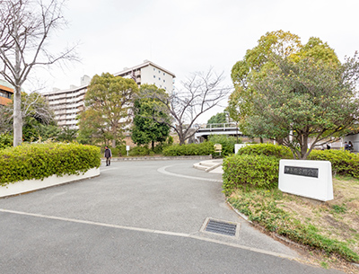 仲手原広場公園