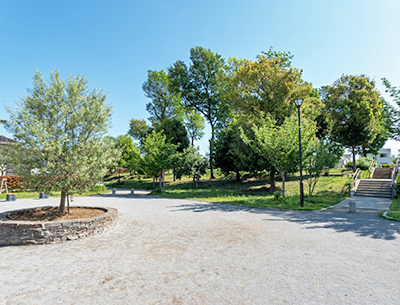 坂田谷津遺跡公園