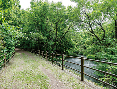 秋葉の森総合公園