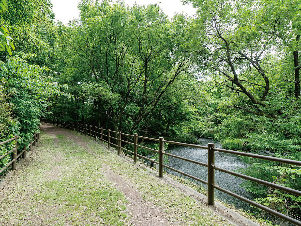 秋葉の森総合公園