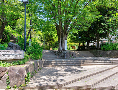 西郷山公園