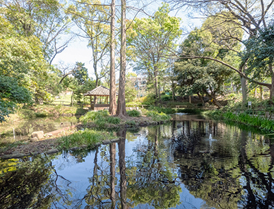 おとめ山公園