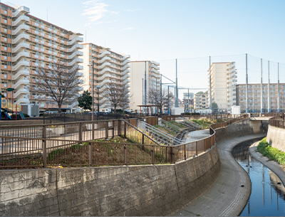 中野区立白鷺せせらぎ公園