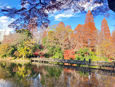 井の頭公園