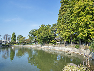 碑文谷公園