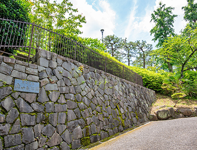 関口台公園