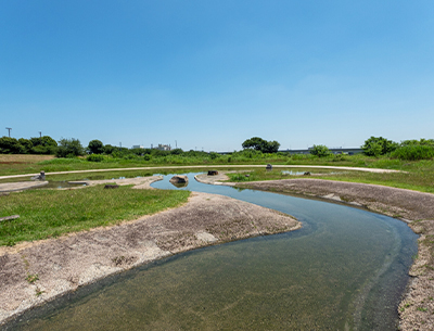 多摩川親水公園