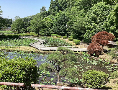 町田薬師池公園