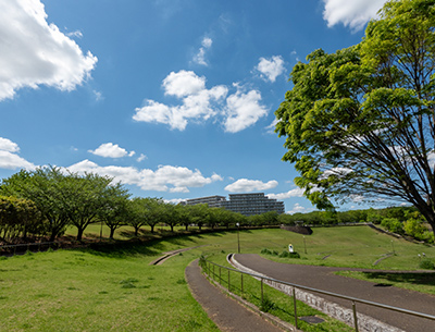 若葉台公園