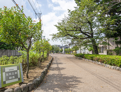 玉川上水緑道