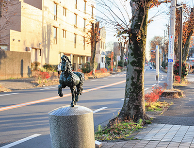 けやき通り