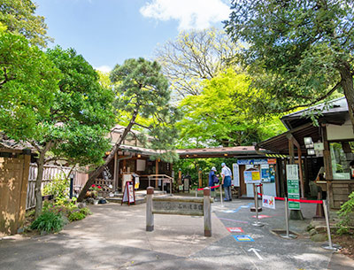 小石川後楽園