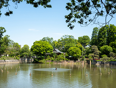 碑文谷公園