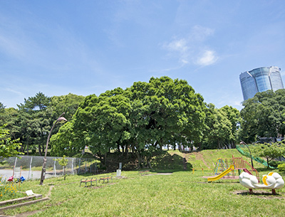 青山公園