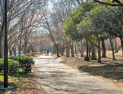 善福寺川緑地