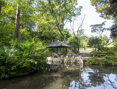 おとめ山公園