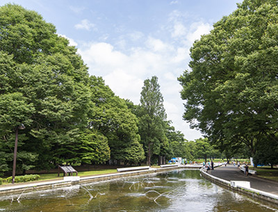 代々木公園