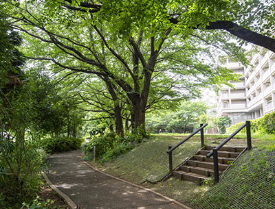 西原せせらぎ公園