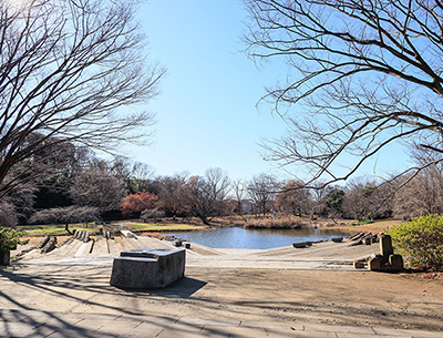 清瀬金山緑地公園