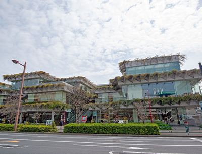 玉川高島屋S・C マロニエコート