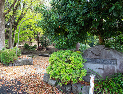 上野毛自然公園