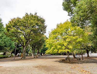 下馬中央公園