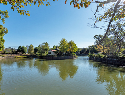 碑文谷公園