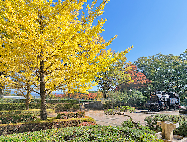 韮崎中央公園