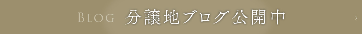 分譲地ブログ公開中