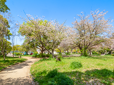 椀田公園